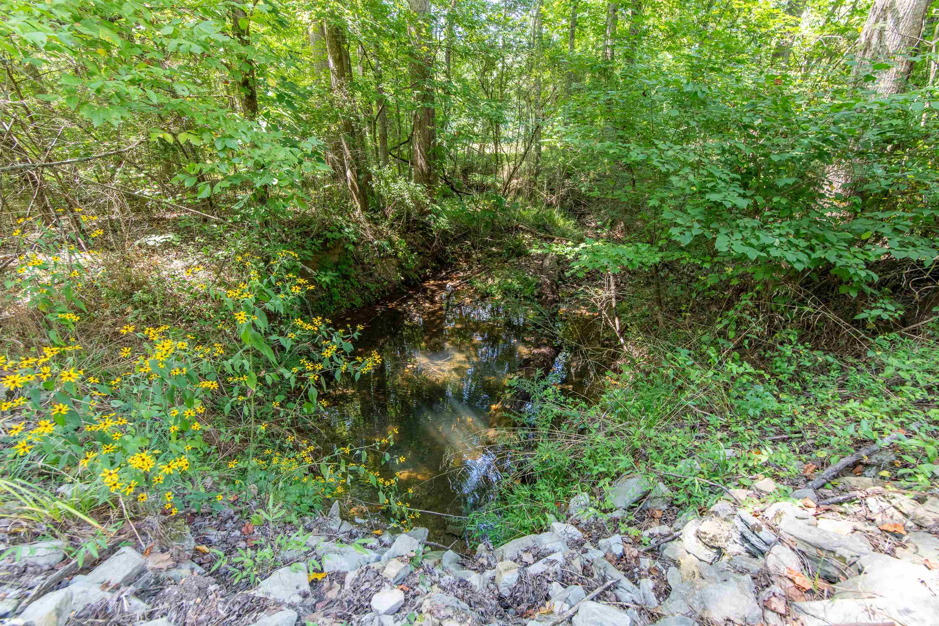 1090 Germany Branch Road Savannah, TN 38372 - Photo 8 of 21 View of landscape with a water view