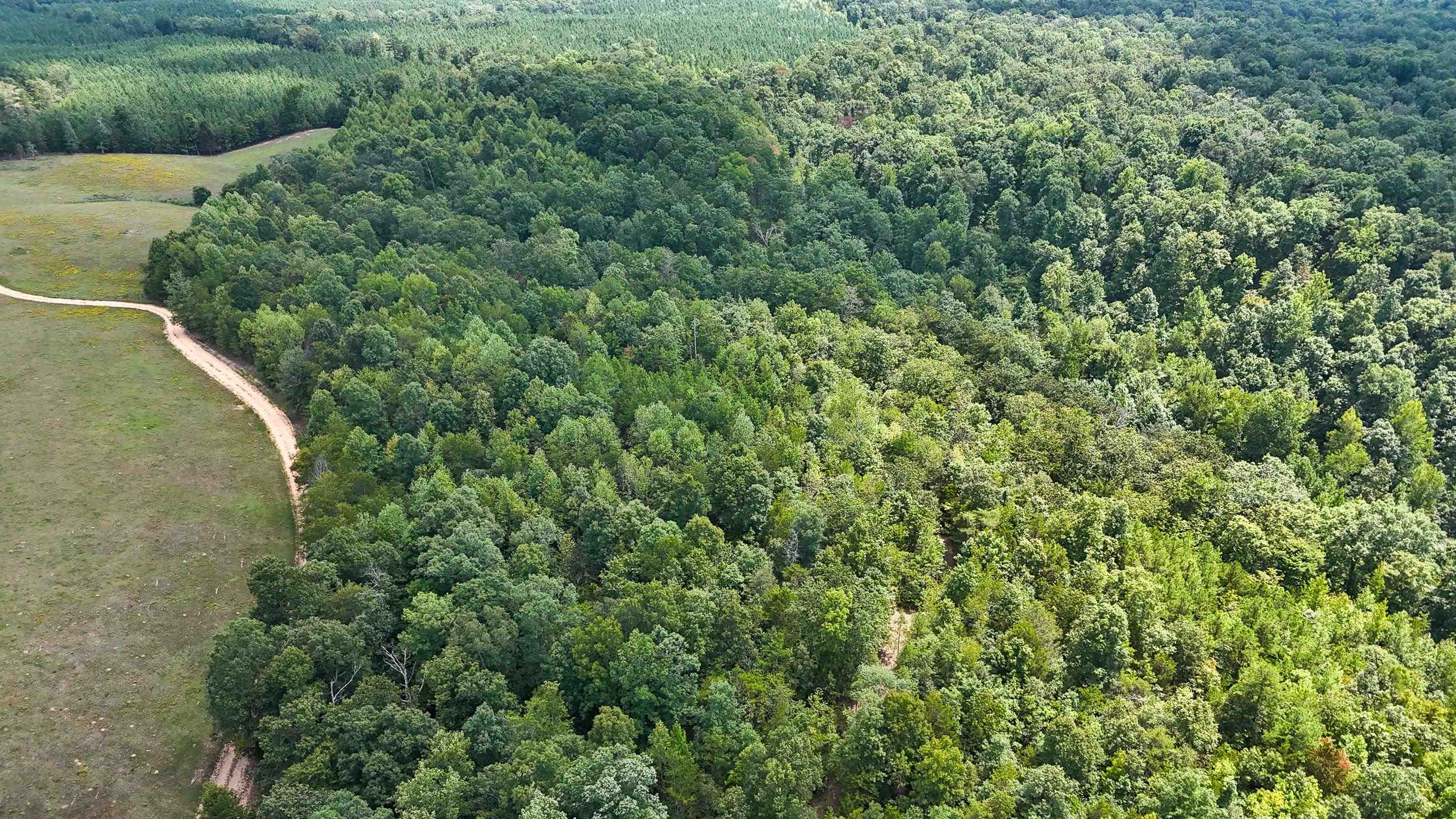 1090 Germany Branch Road Savannah, TN 38372 - Photo 10 of 21 Aerial view