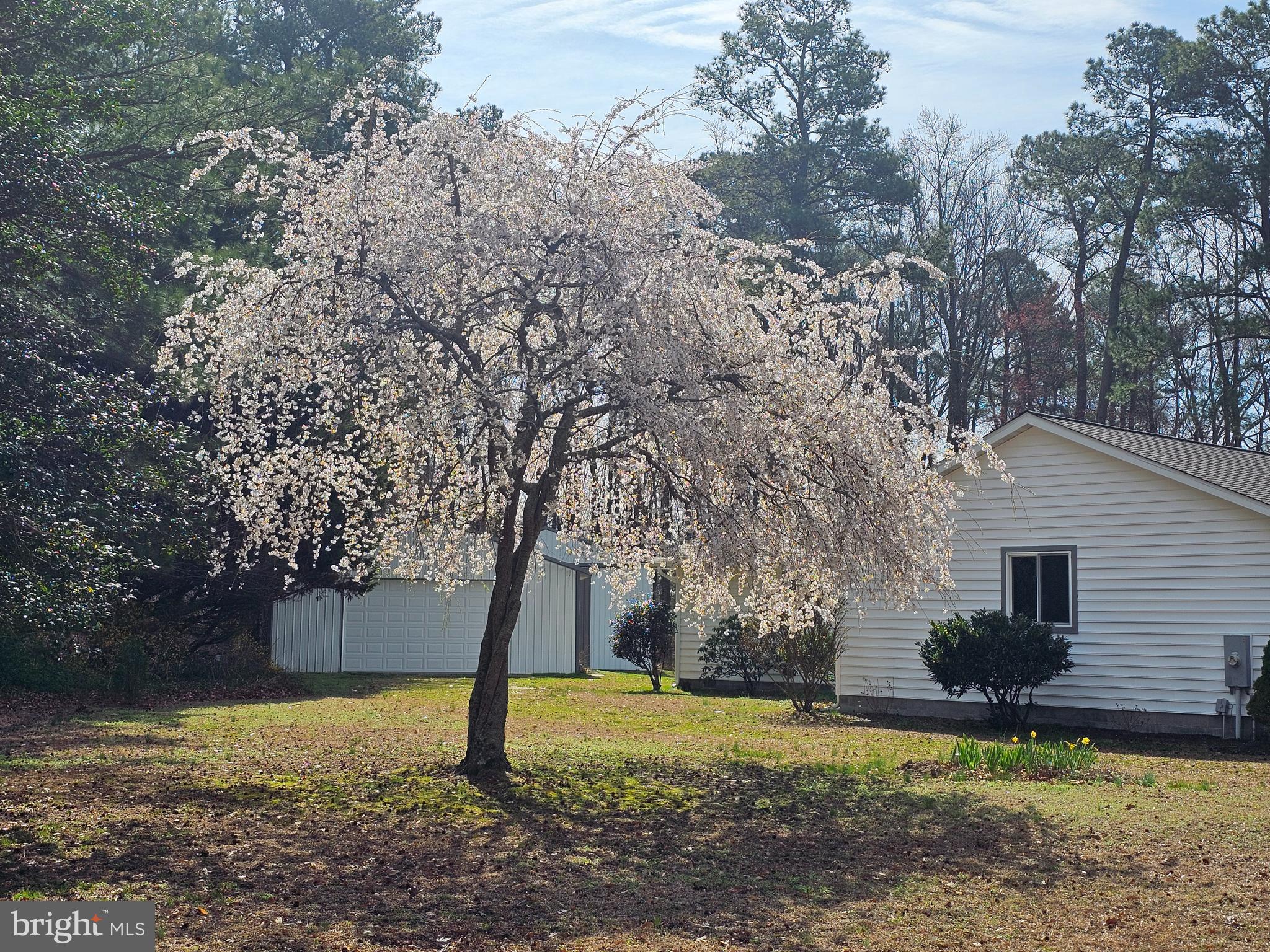 3547 Prchal Road Preston, MD 21655 - Photo 80 of 85