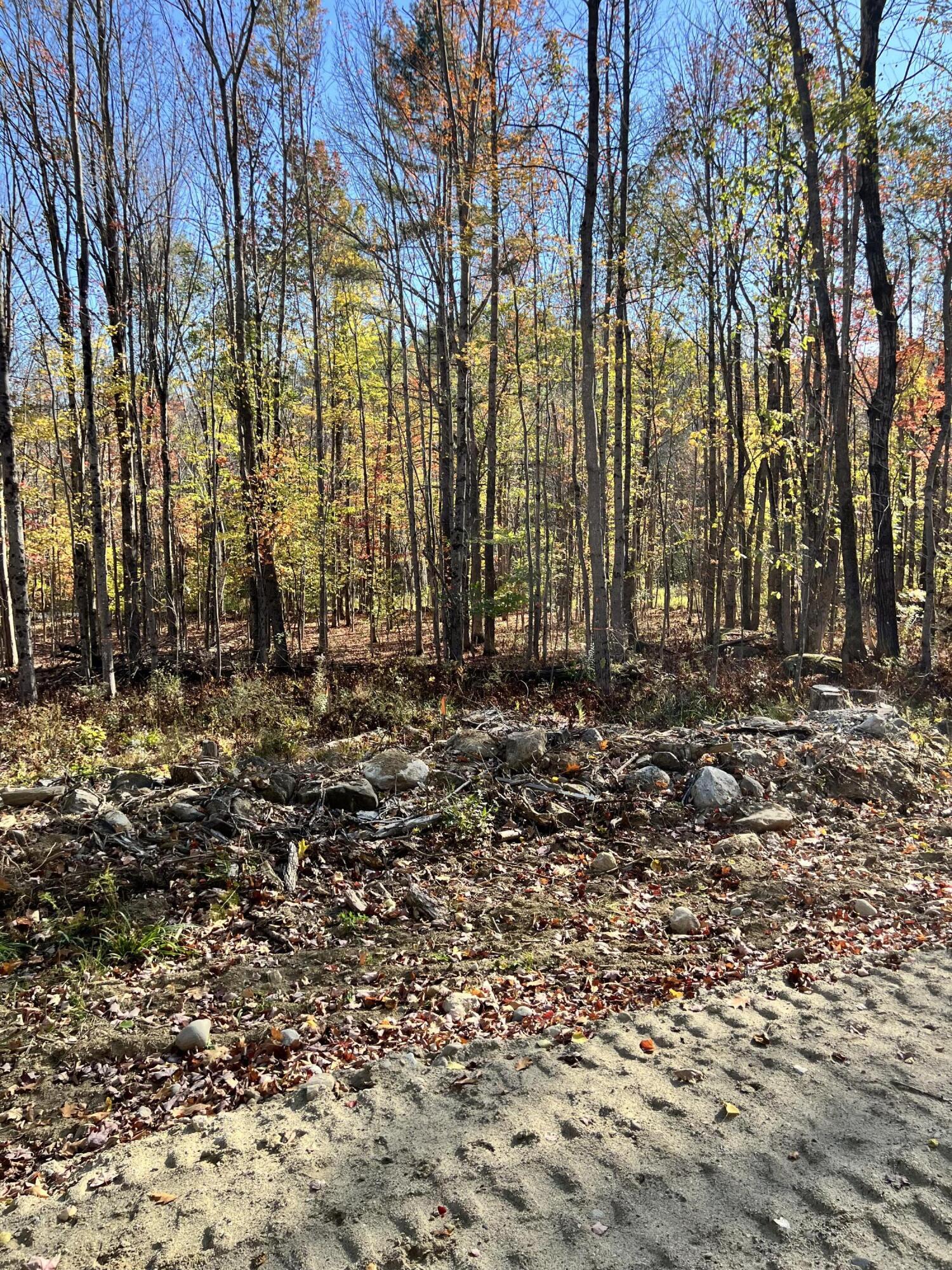 R09-24b Orchard Hill Road Temple, ME 04984 - Photo 4 of 9 IMG_3079