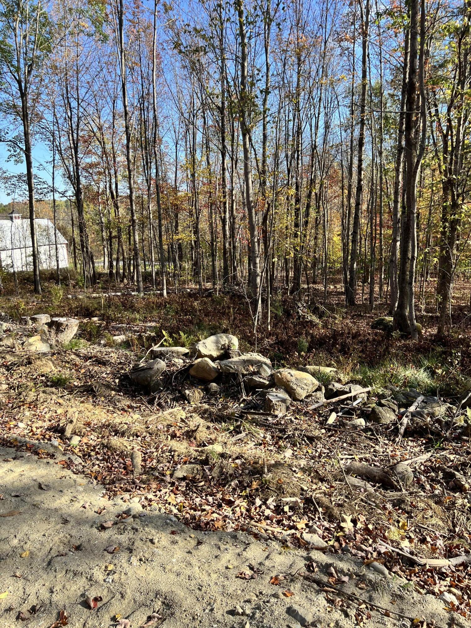 R09-24b Orchard Hill Road Temple, ME 04984 - Photo 5 of 9 IMG_3090