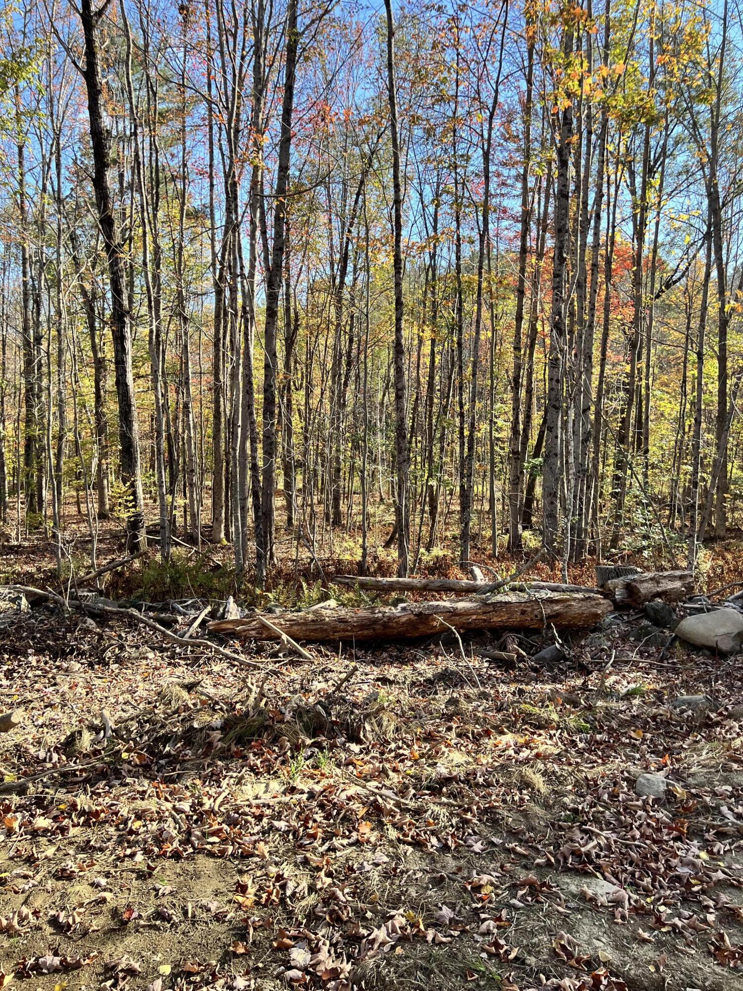 R09-24b Orchard Hill Road Temple, ME 04984 - Photo 7 of 9 IMG_3084