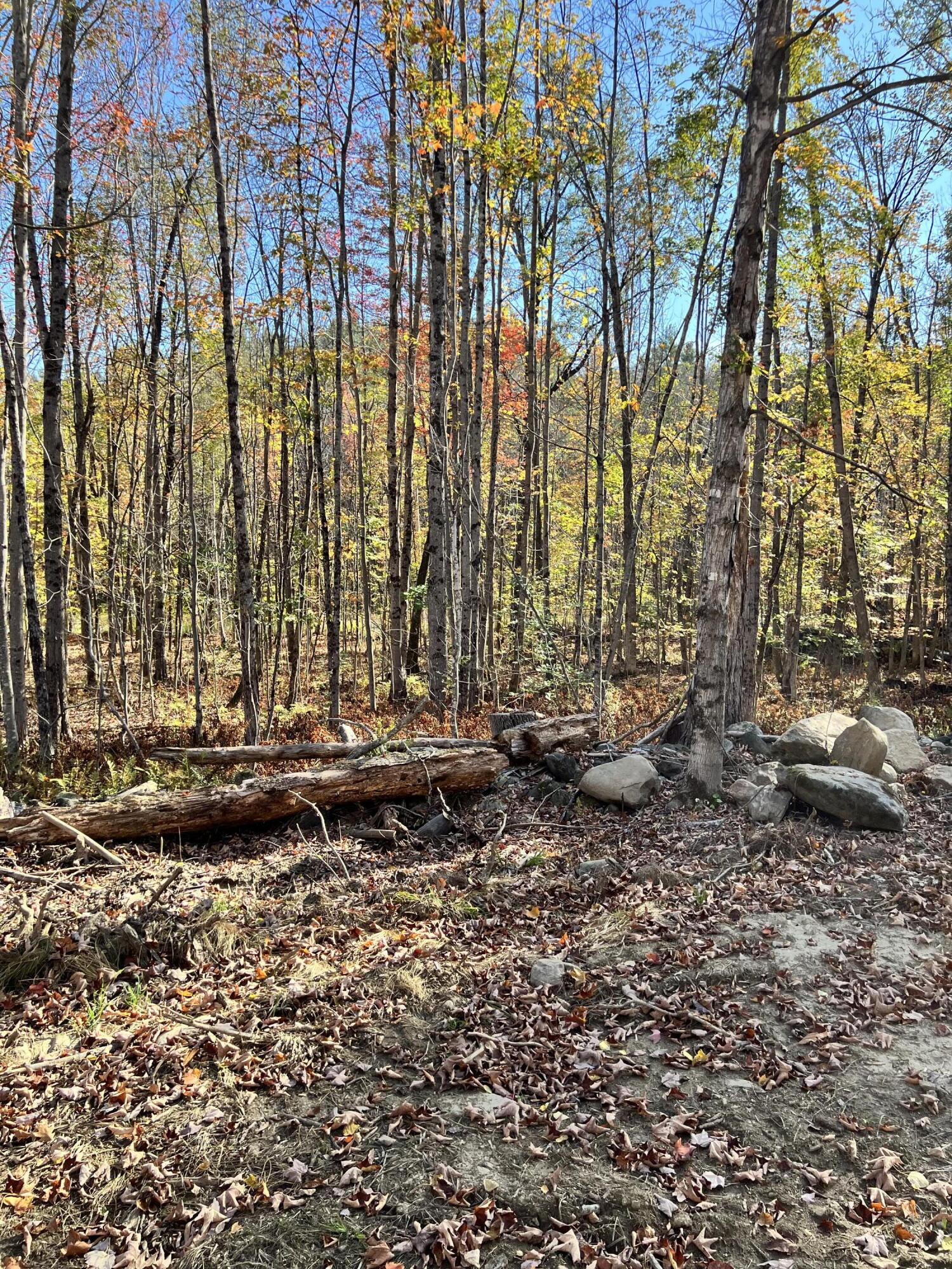 R09-24b Orchard Hill Road Temple, ME 04984 - Photo 8 of 9 IMG_3083