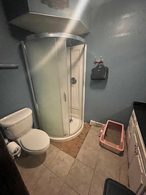 48 South Country Squire Road Palos Heights, IL 60463 - Photo 19 of 23 a bathroom with a toilet and a shower