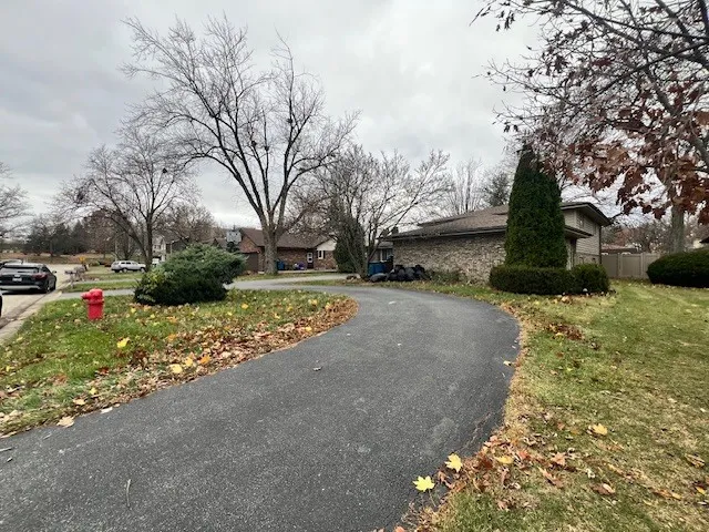 a view of road with large tree