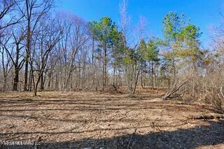 Northside Drive Clinton, MS 39056 - Photo 5 of 10 Northside-Drive-06