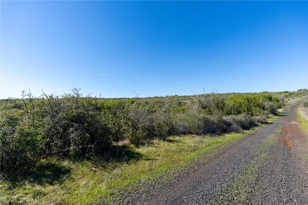 0 Doe Mill Road Chico, CA 95928 - Photo 5 of 62 a view of a lush green forest with lots of trees