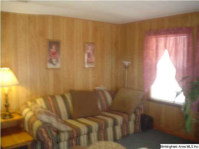 4625 Highway 24 Springville Al Springville, AL 35146 - Photo 9 of 29