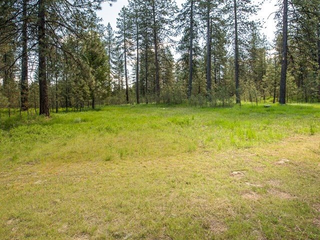 31622 North Perry Road Deer Park, WA 99006 - Photo 18 of 20 Gallery Image 18