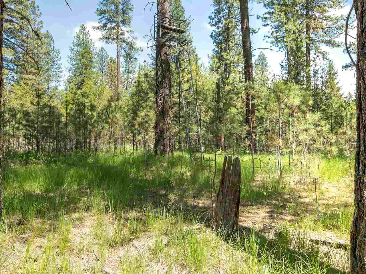 31622 North Perry Road Deer Park, WA 99006 - Photo 19 of 20 Gallery Image 19