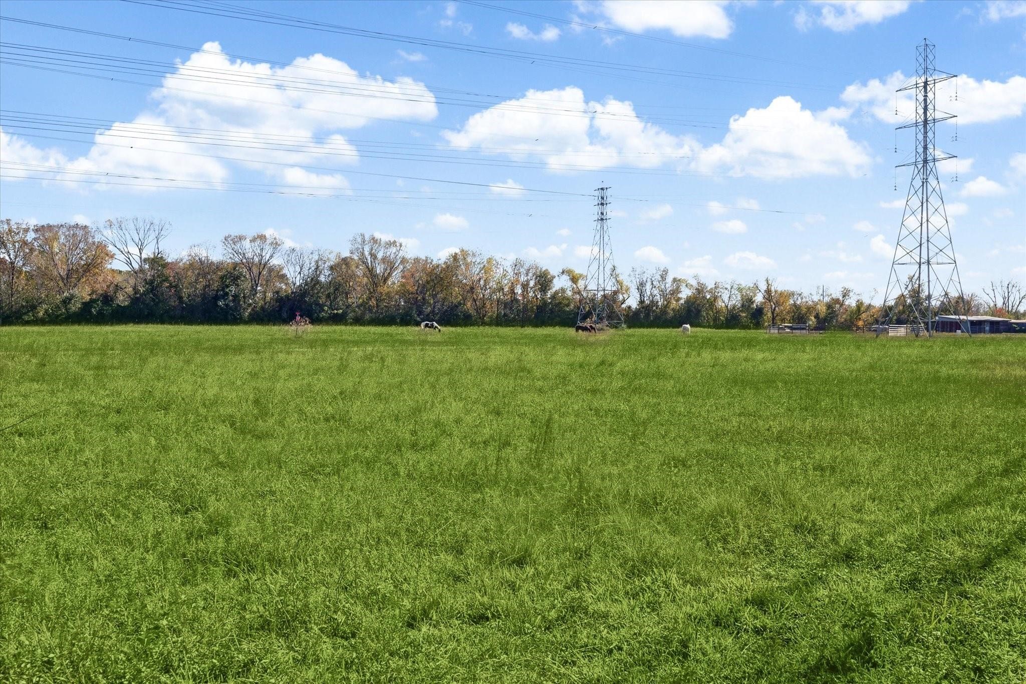 11223 Greenwillow Street Houston, TX 77035 - Photo 29 of 29 a view of a grassy field