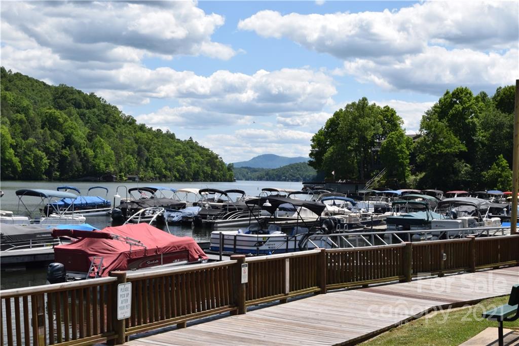 8 High Rd Court Lake Lure, NC 28746 - Photo 21 of 22