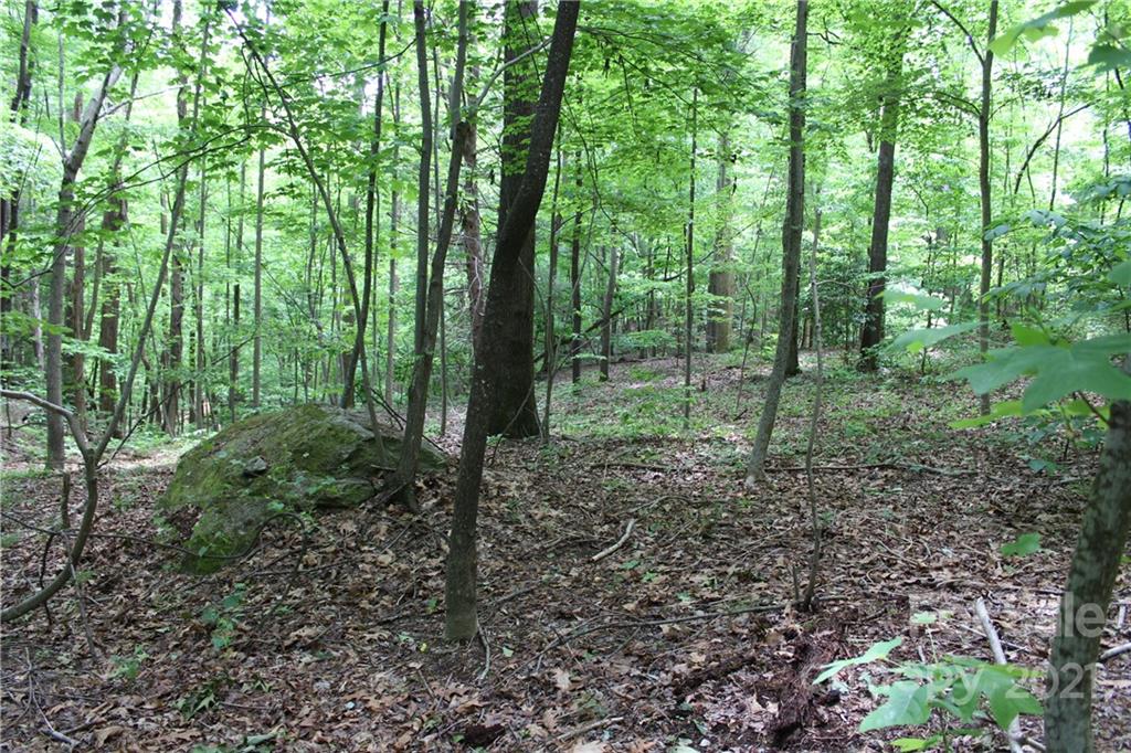 8 High Rd Court Lake Lure, NC 28746 - Photo 3 of 22 a view of outdoor space and green space
