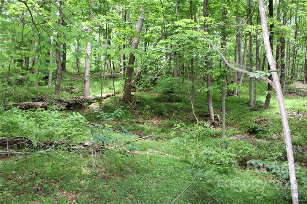 8 High Rd Court Lake Lure, NC 28746 - Photo 4 of 22 a view of outdoor space and green space