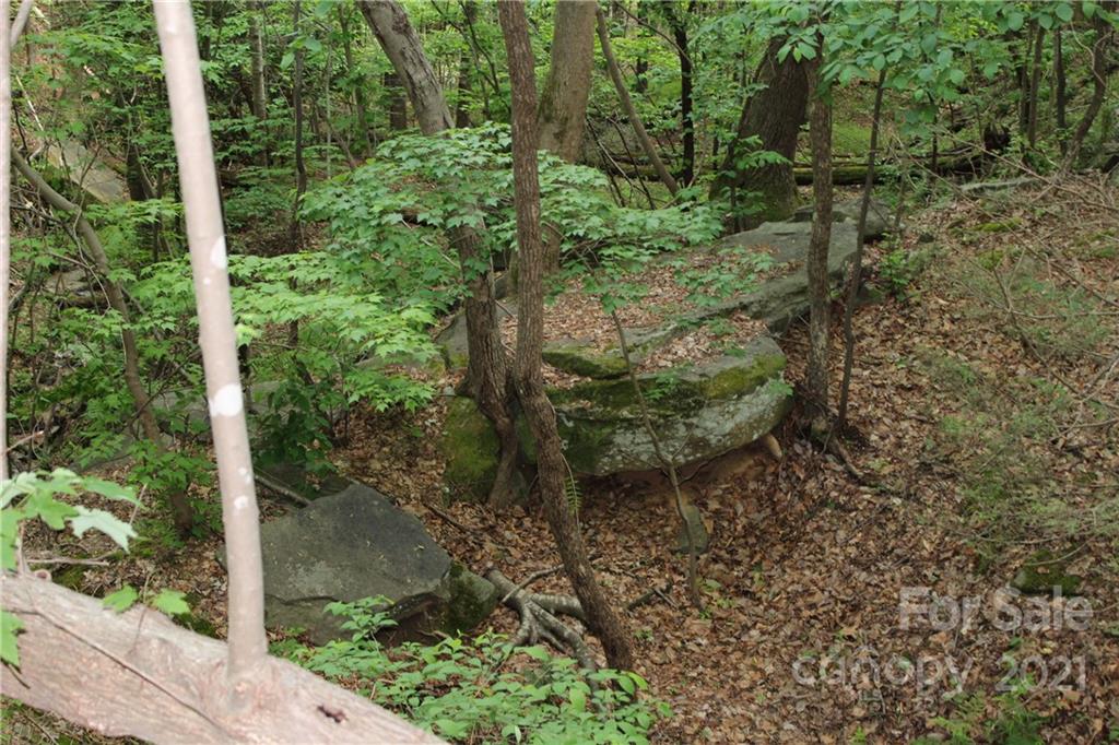 8 High Rd Court Lake Lure, NC 28746 - Photo 7 of 22 a view of a garden with plants