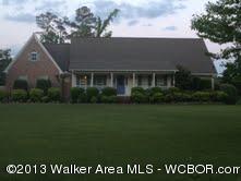 821 Cooner Road Jasper, AL 35503 - Photo 1 of 19 Gallery Image 1