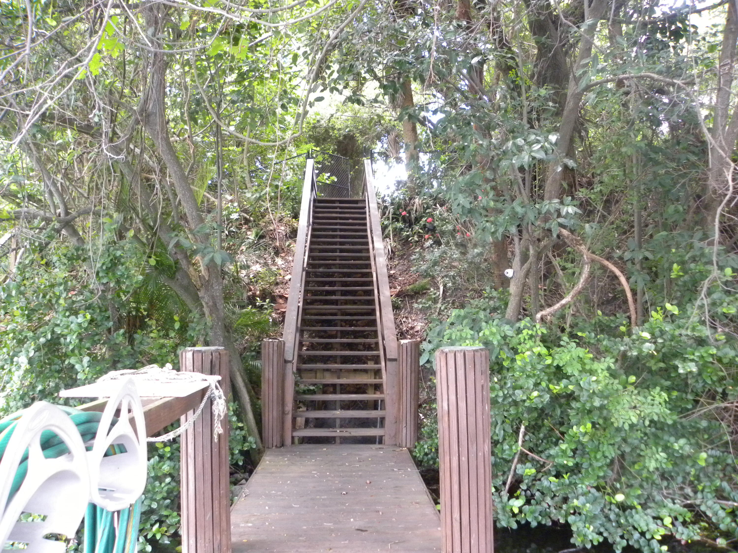 1270 Southwest 21st Lane Boca Raton, FL 33486 - Photo 46 of 47 Dock Staircase