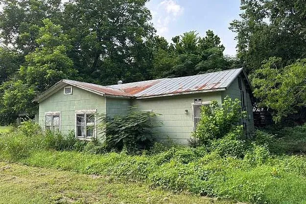 a view of a garden with a house in the background