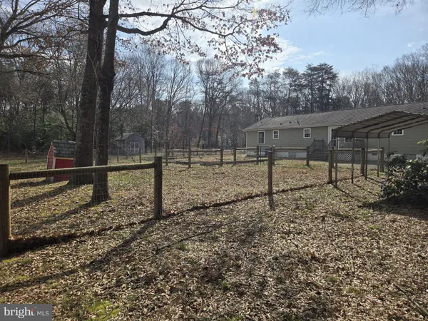 a view of a yard with plants and trees