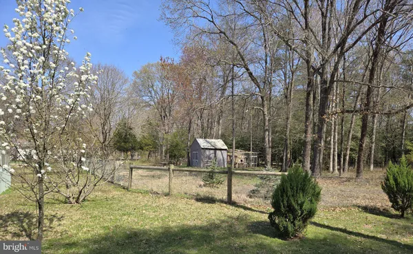 a view of a park with large trees