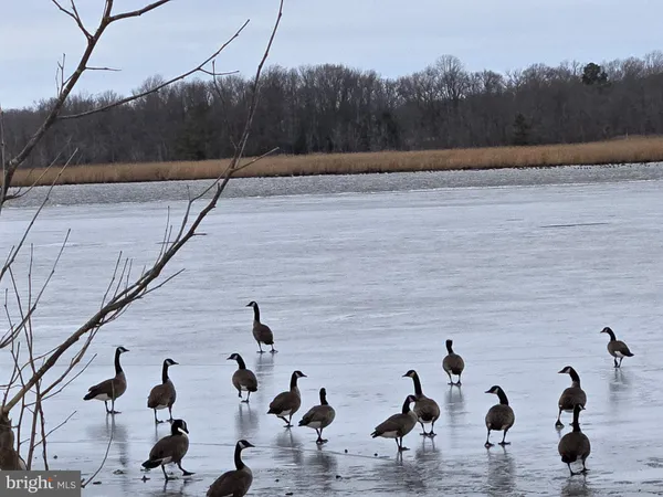 $434,000 | 23116 Gilpin Point Road, Preston, MD 21655