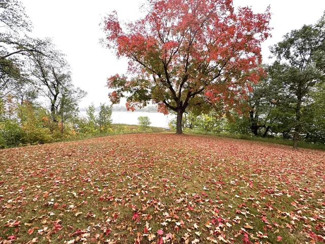 $499,000 | 37616 390th Avenue Southeast, Fosston, MN 56542