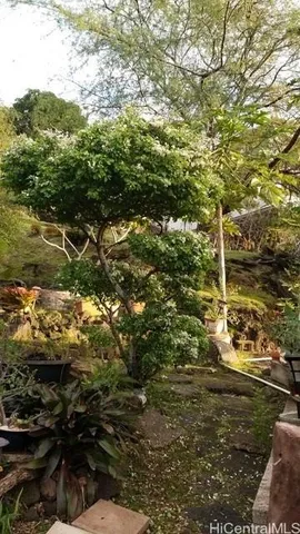 $3,500 | 1445 Mokuna Place, Honolulu, HI 96816