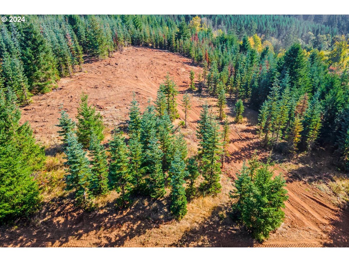 Northwest Lodge Road Banks, OR 97106 - Photo 2 of 10 a view of a backyard of a house