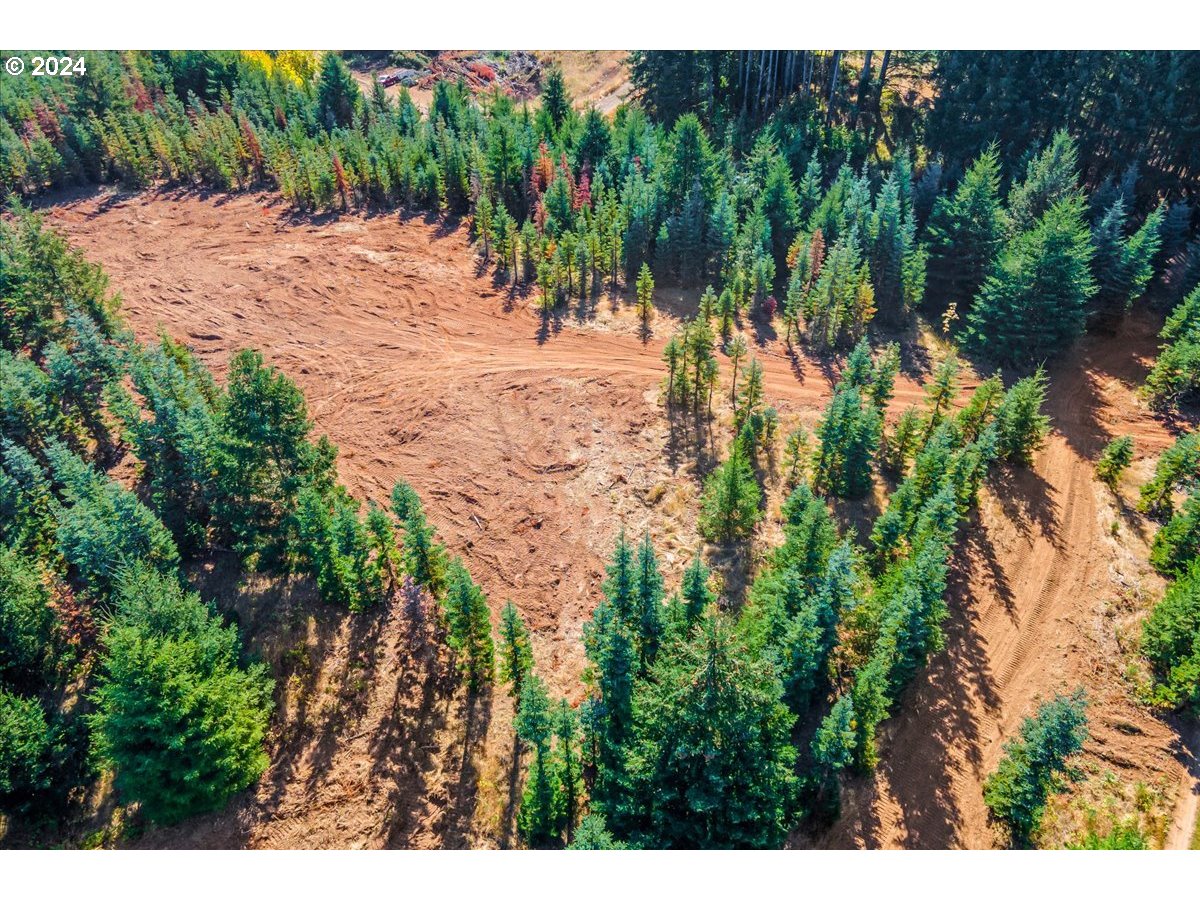 Northwest Lodge Road Banks, OR 97106 - Photo 3 of 10 a view of a backyard of a house