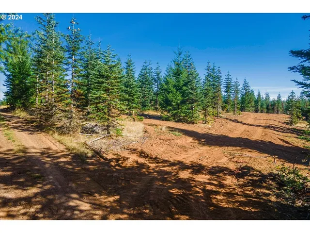 a view of a yard with a tree