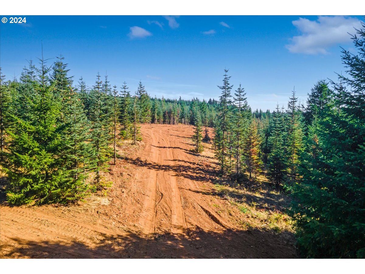 Northwest Lodge Road Banks, OR 97106 - Photo 5 of 10 a view of outdoor space and yard
