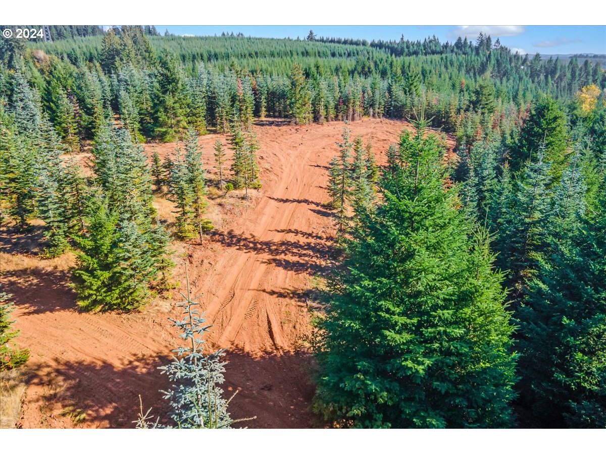 Northwest Lodge Road Banks, OR 97106 - Photo 6 of 10 a view of a lake with a mountain in the background