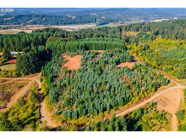 a view of a lush green field with a mountain in the background