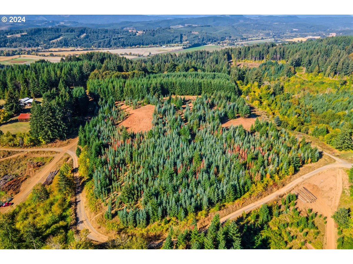 Northwest Lodge Road Banks, OR 97106 - Photo 8 of 10 a view of a lush green field with a mountain in the background