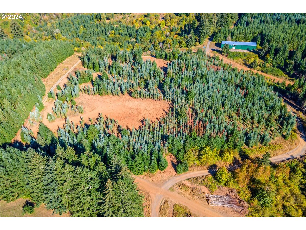 Northwest Lodge Road Banks, OR 97106 - Photo 10 of 10