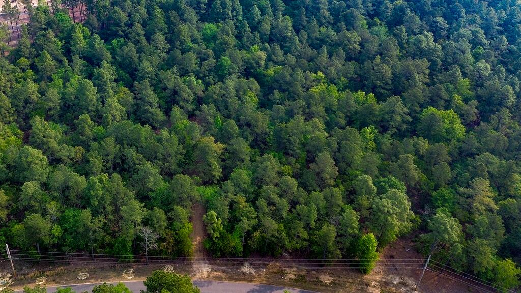 0 Mt Zion Road, Unit 3 Trenton, SC 29847 - Photo 14 of 26