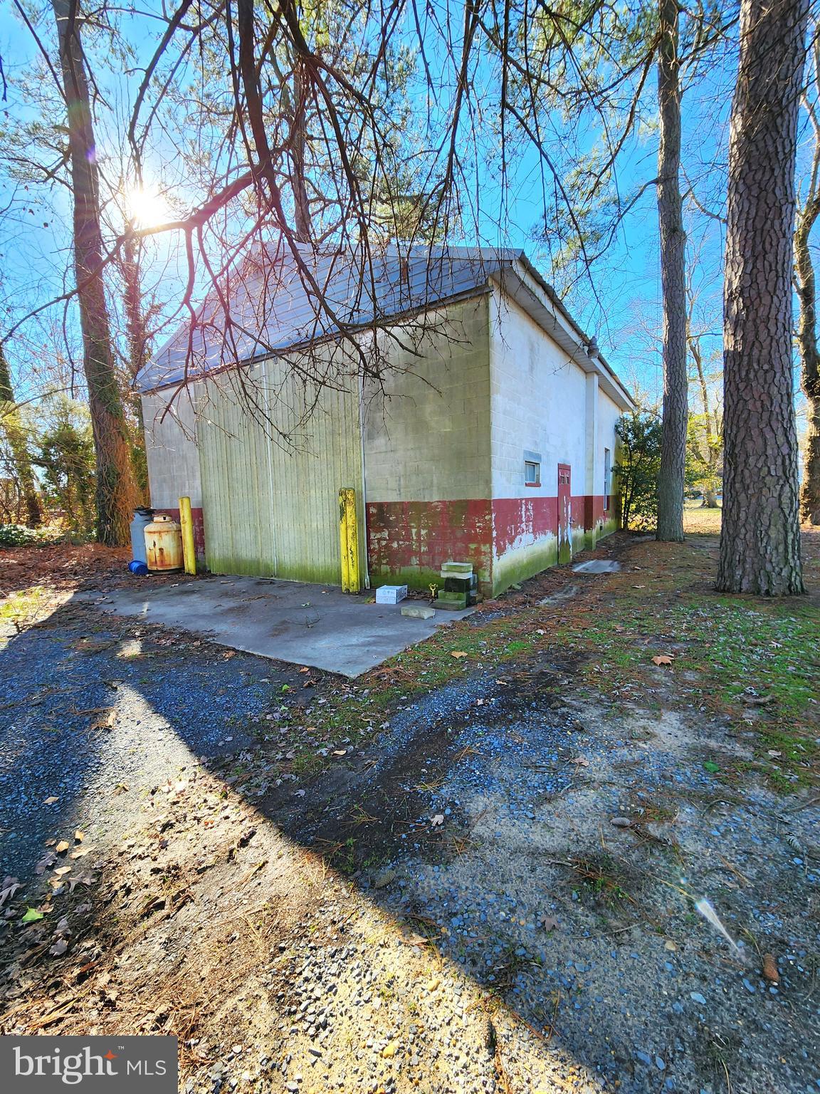 8754 Concord Road Seaford, DE 19973 - Photo 20 of 21 a view of a yard with a tree