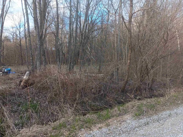 $32,500 | 8671 Bullerdick Road, Poland, IN 47868