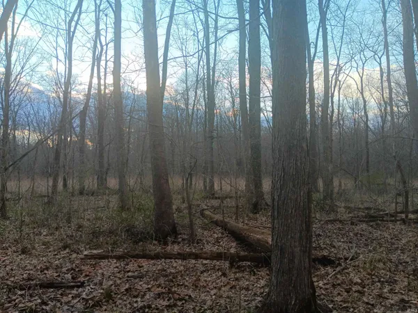 $31,999 | 8671 Bullerdick Road, Poland, IN 47868