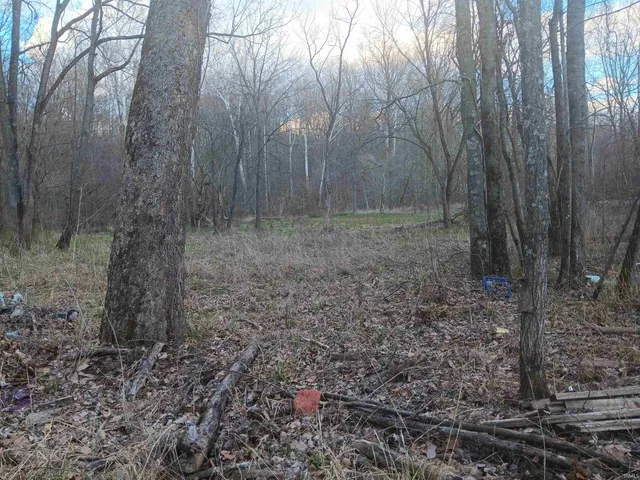 $32,500 | 8671 Bullerdick Road, Poland, IN 47868