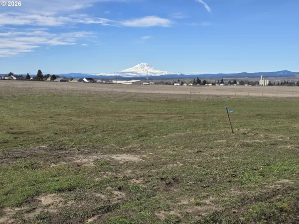$109,000 | 0 South Roosevelt Avenue, Unit 4, Goldendale, WA 98620