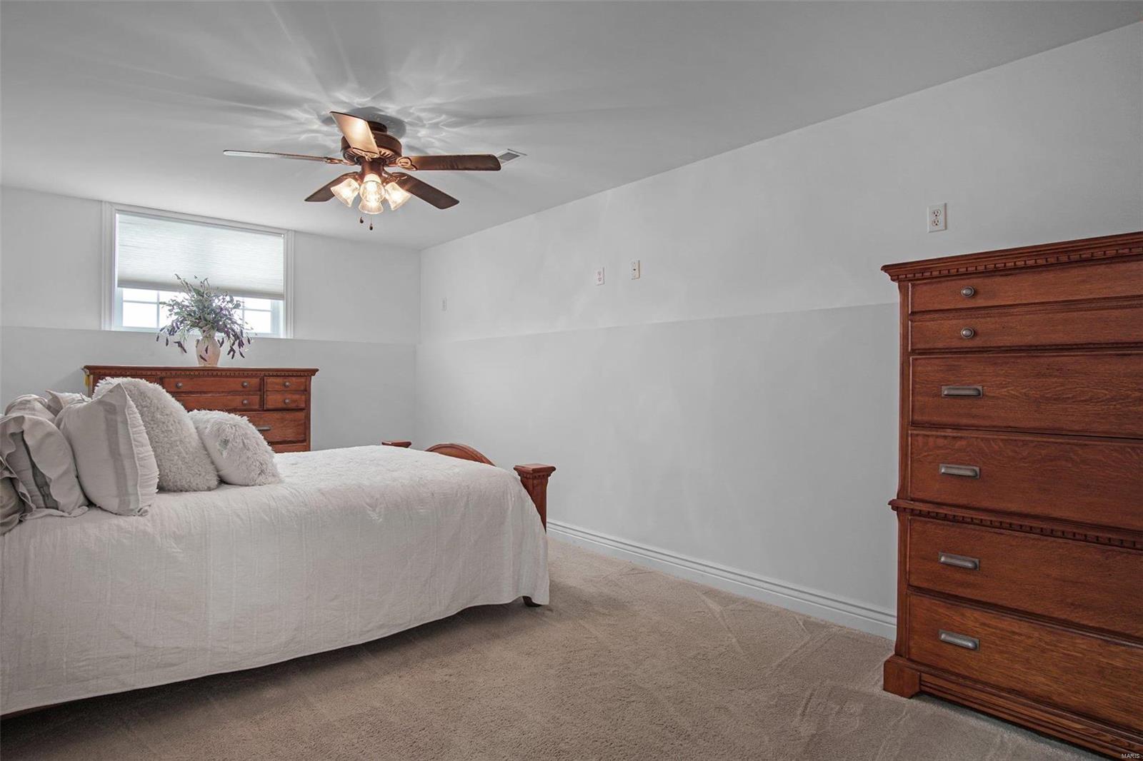 9335 Renken Road Staunton, IL 62088 - Photo 33 of 49