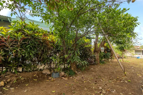$799,000 | 44-409 Hoolokahi Street, Honokaa, HI 96727