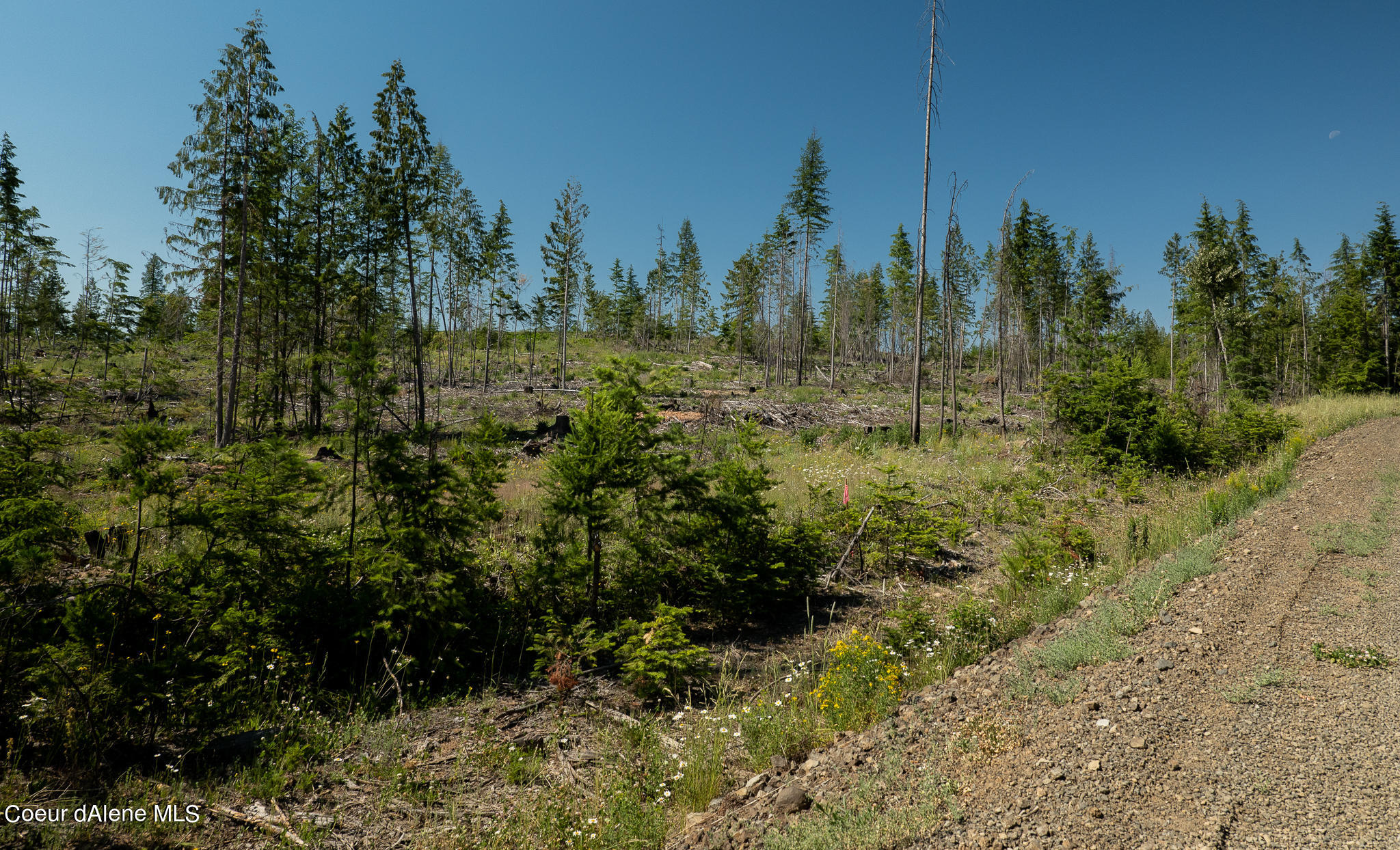 Lot 6 Sportsman Rd Street St. Maries, ID 83861 - Photo 1 of 1 Front View