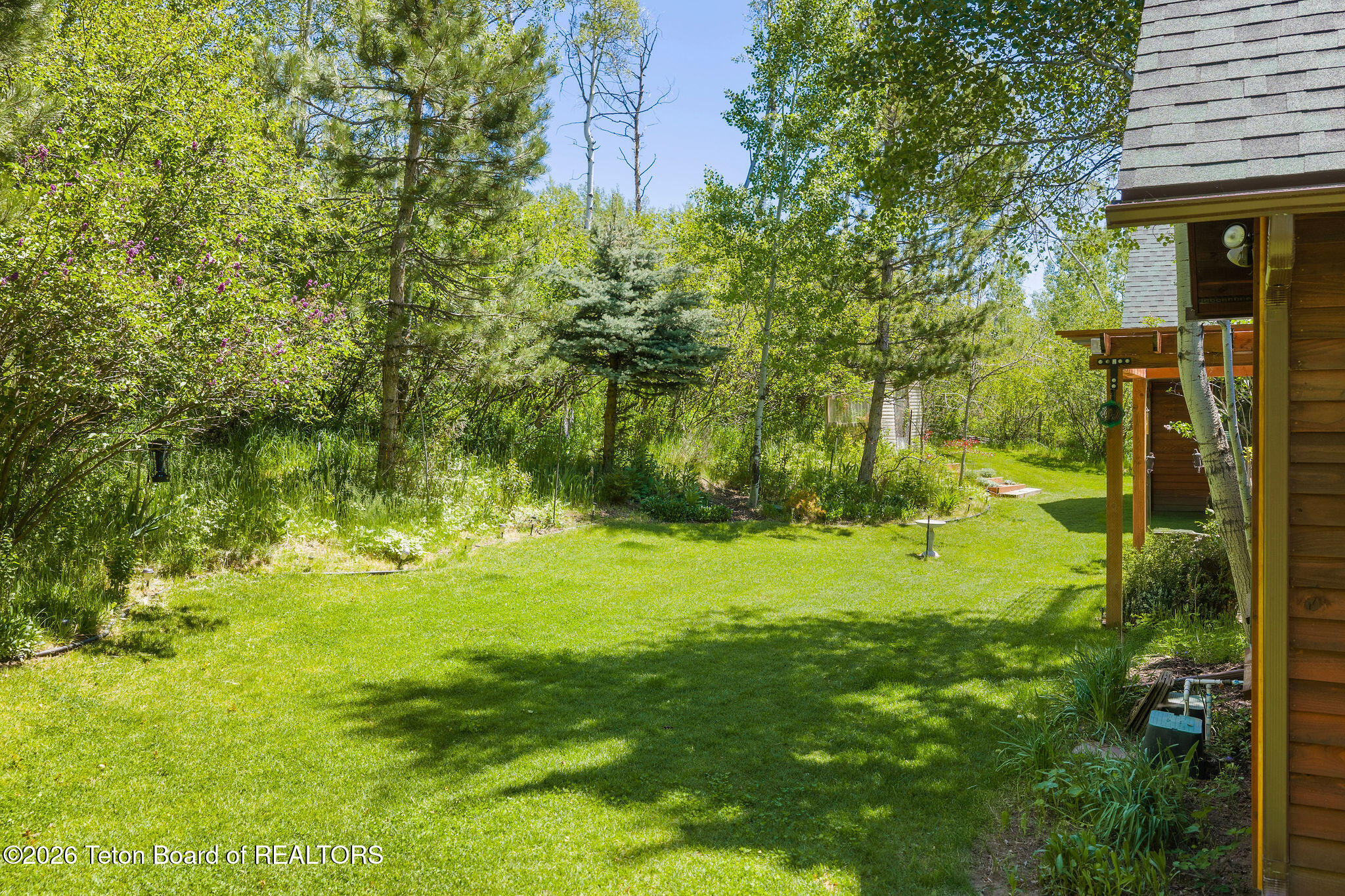 134 Pine Drive Star Valley Ranch, WY 83127 - Photo 36 of 49 Exterior Backyard