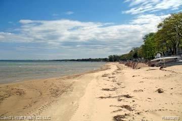 7852 Port Austin Road Pigeon, MI 48755 - Photo 11 of 16 7852PortAustinBeachNorth