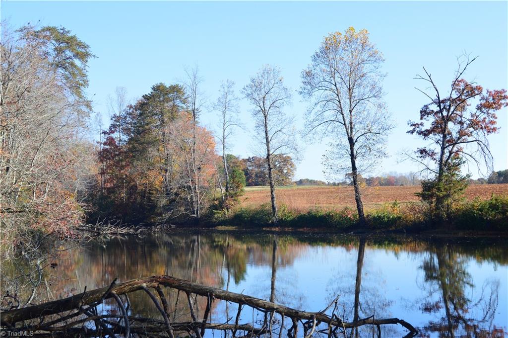0 Proffitt Road Ruffin, NC 27326 - Photo 1 of 29