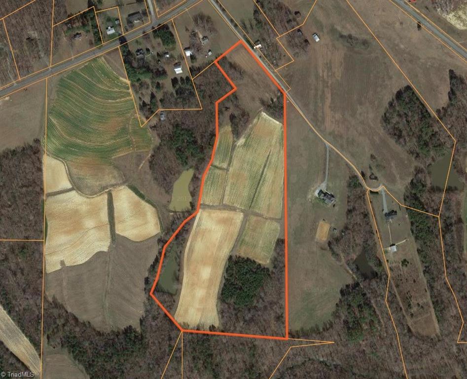 0 Proffitt Road Ruffin, NC 27326 - Photo 2 of 29