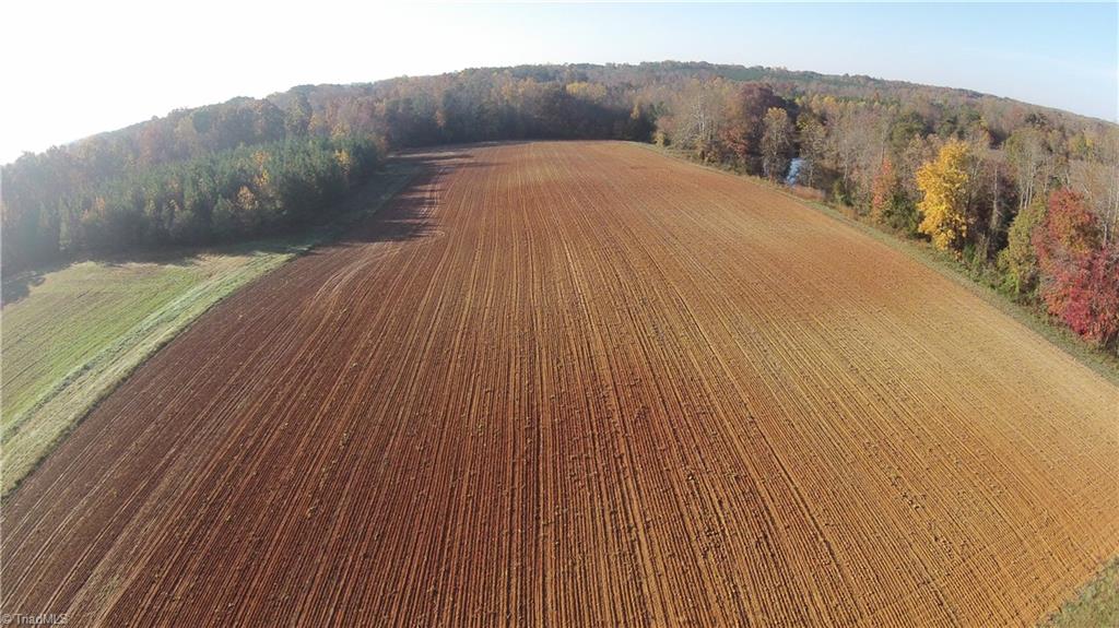 0 Proffitt Road Ruffin, NC 27326 - Photo 11 of 29