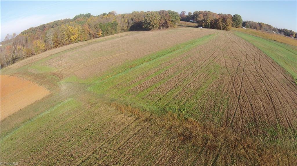 0 Proffitt Road Ruffin, NC 27326 - Photo 13 of 29